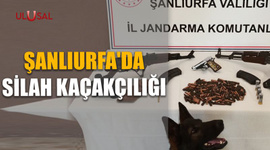 Şanlıurfa'da silah kaçakçılığı